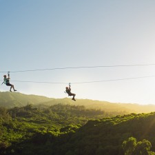 zipline 2