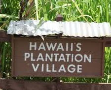 Plantation Village